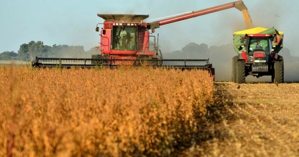 La economía argentina cerró 2025 con crecimiento anual impulsado por un repunte en diciembre